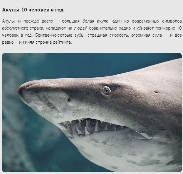 17 самых смертоносных существ нашей планеты
