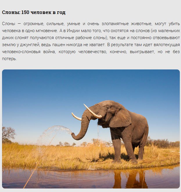 17 самых смертоносных существ нашей планеты