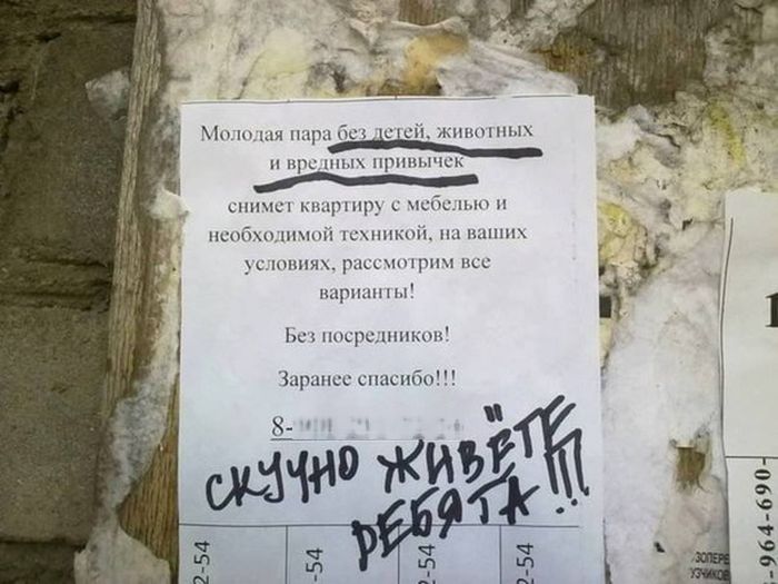 Забавные картинки