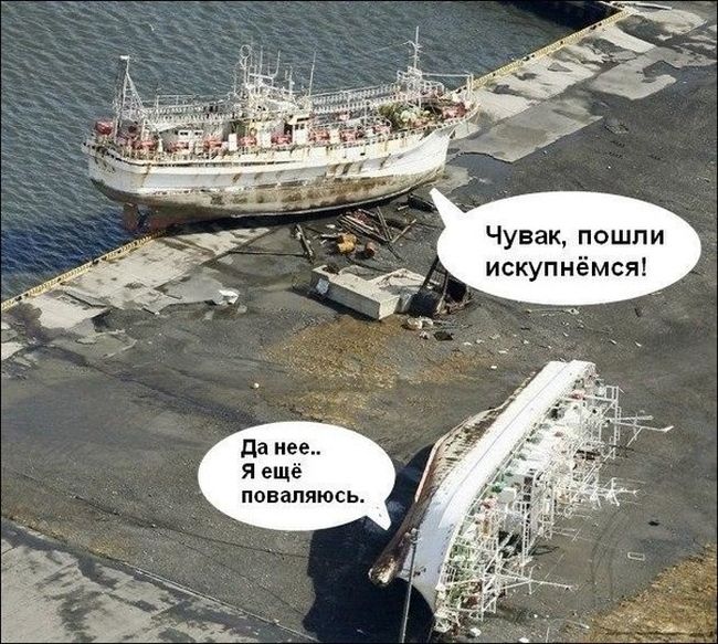 Забавные картинки