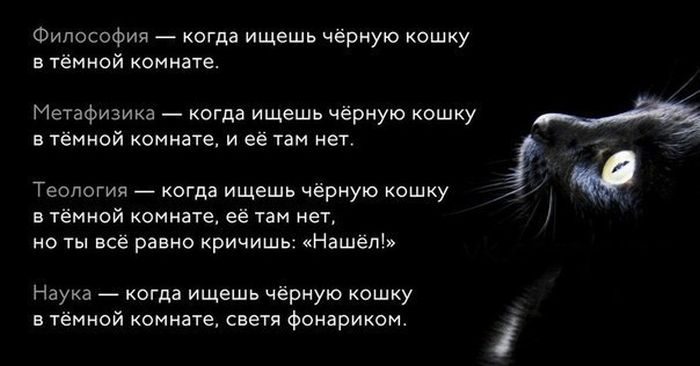 Прикольные картинки (79 фото)