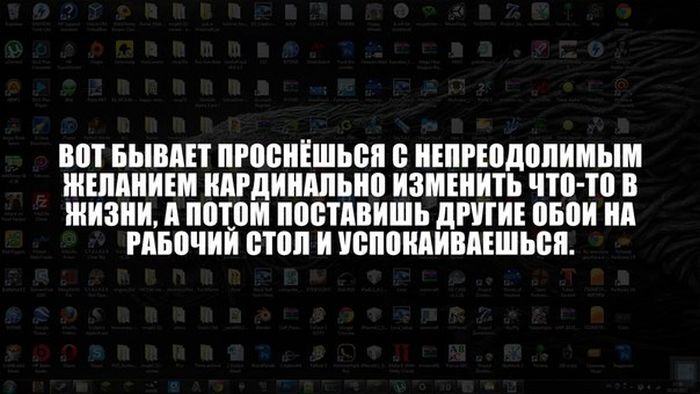 Прикольные картинки (79 фото)