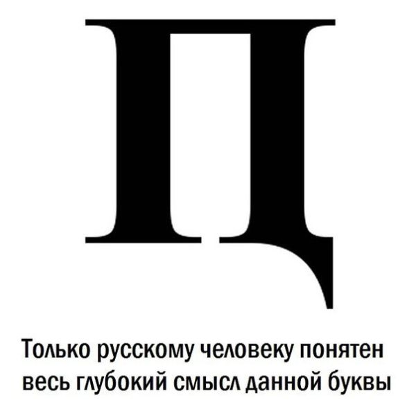 Прикольные картинки (79 фото)