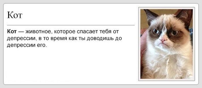 Прикольные картинки (79 фото)