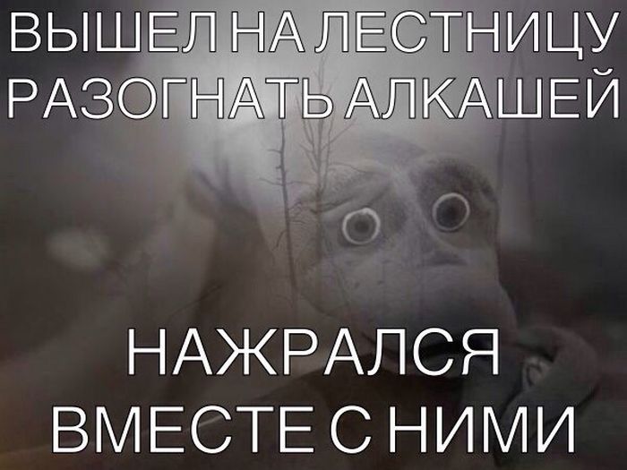 Прикольные картинки (79 фото)