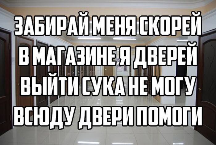 Прикольные картинки (79 фото)