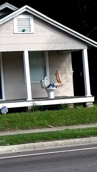 Прикольные картинки (73 фото)