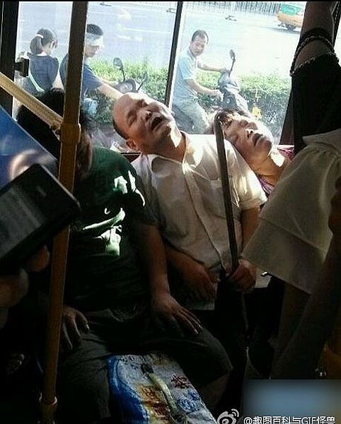 Прикольные картинки (73 фото)