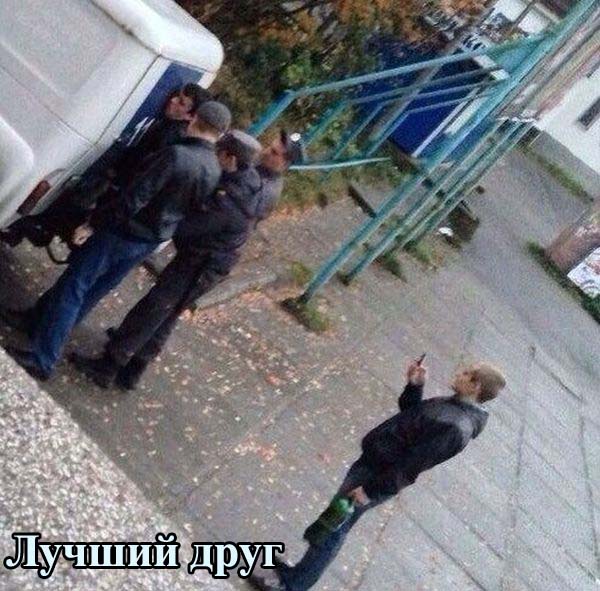 Забавные картинки