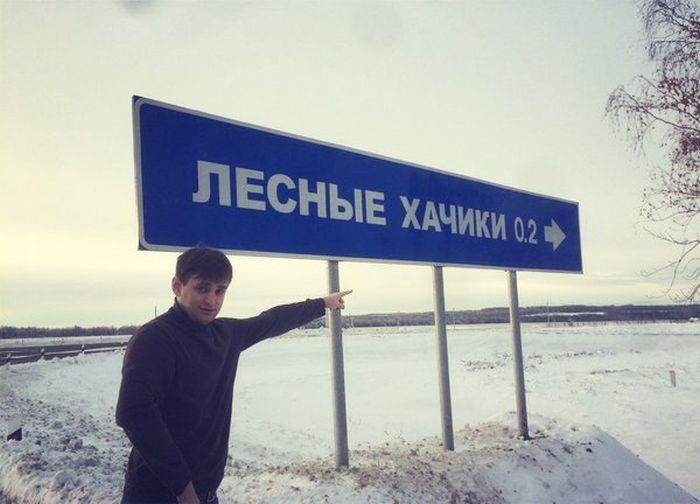 Забавные картинки