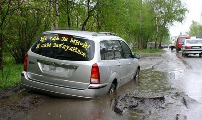 Забавные картинки