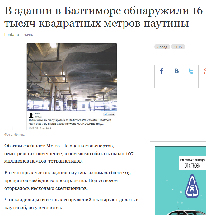 Забавные картинки