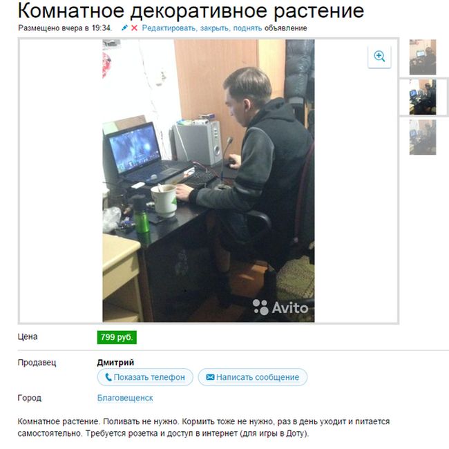 Забавные картинки