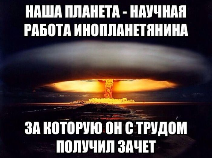 Забавные картинки