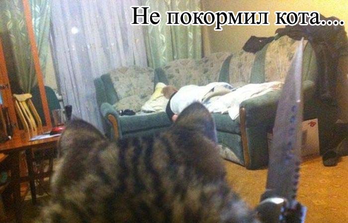 Прикольные картинки (76 фото)