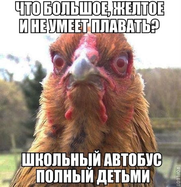 Прикольные картинки (76 фото)