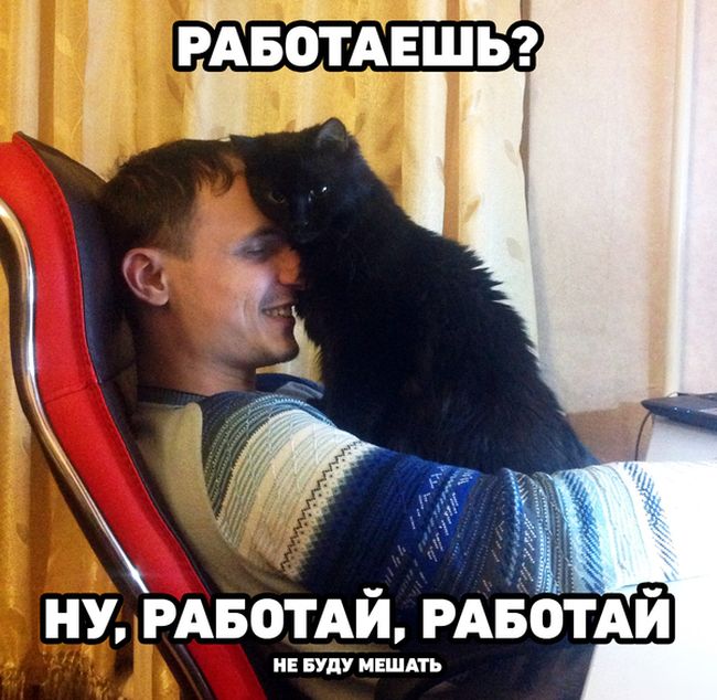 Прикольные картинки (76 фото)