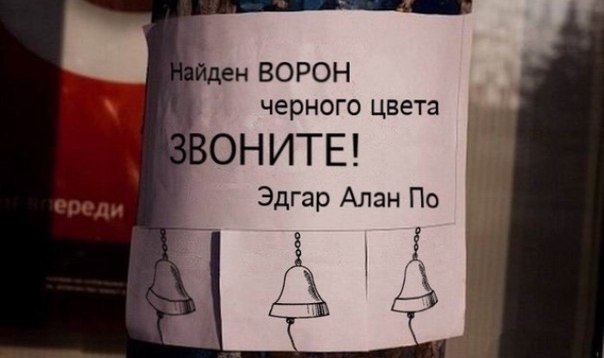 Забавные картинки