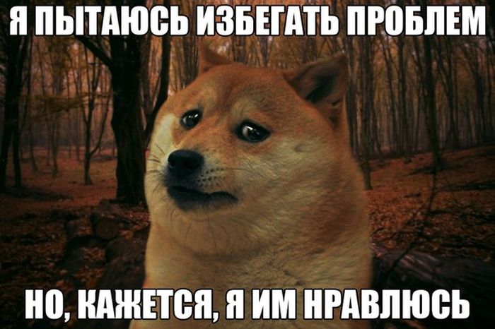 Забавные картинки