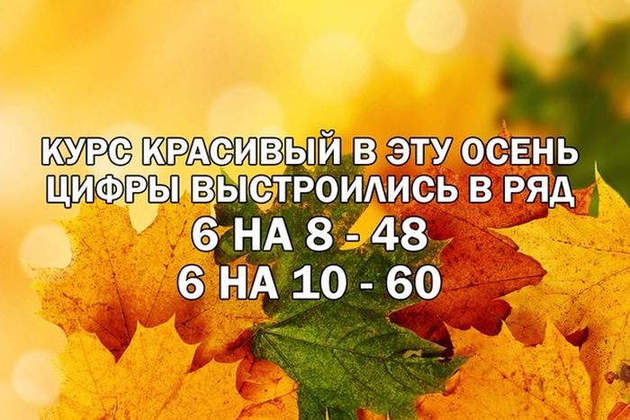 Прикольные картинки (80 фото)