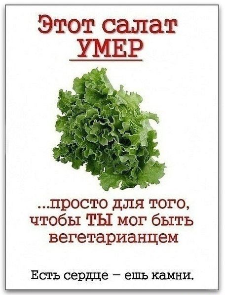 Прикольные картинки (80 фото)