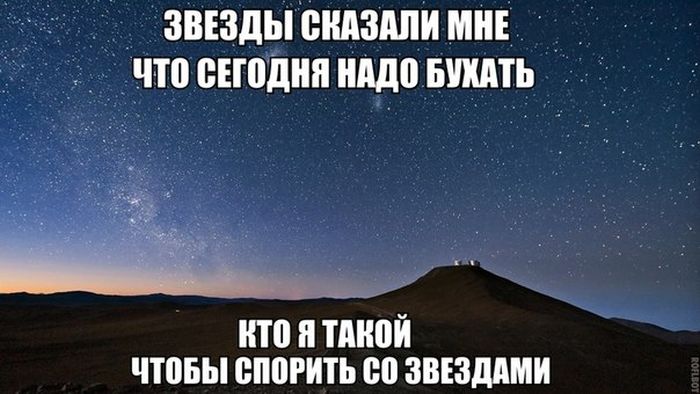 Прикольные картинки (80 фото)