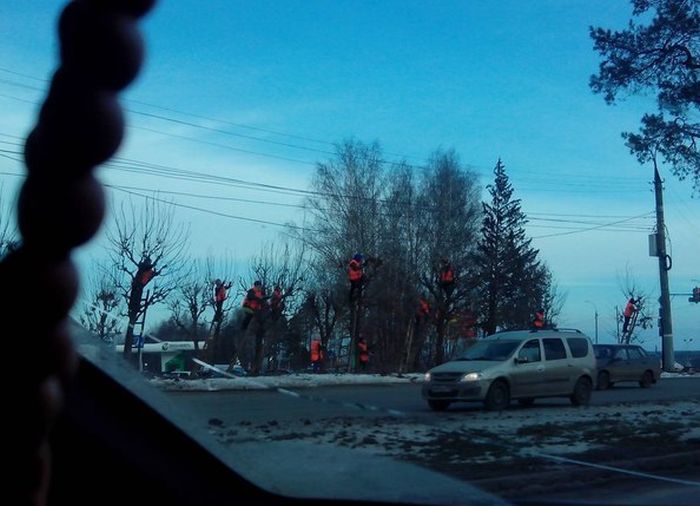 Прикольные картинки (80 фото)