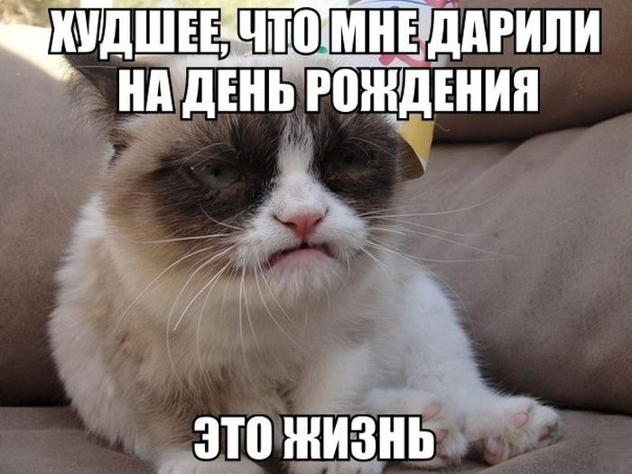 Прикольные картинки (82 фото)