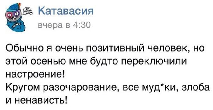 Прикольные картинки (64 фото)