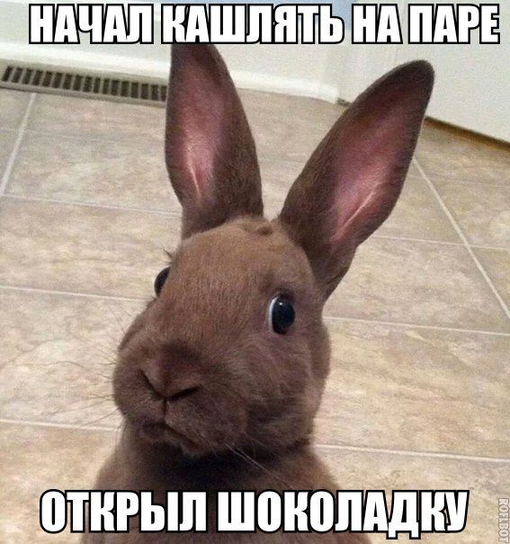 Прикольные картинки (64 фото)