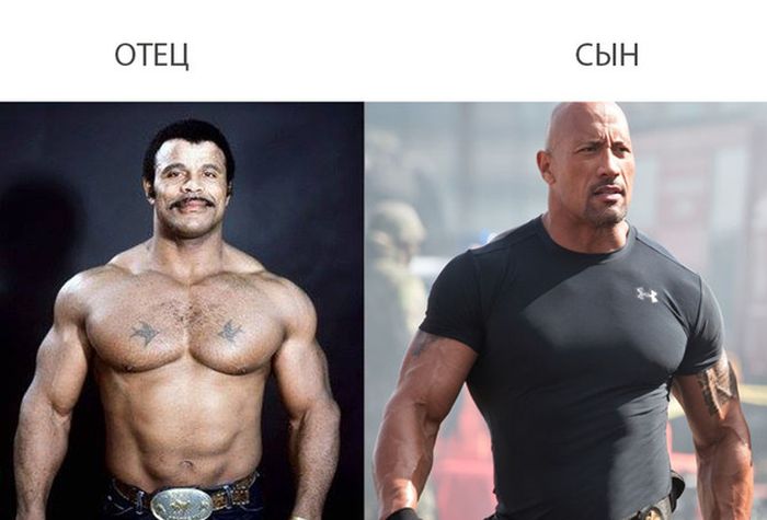 Прикольные картинки (84 фото)