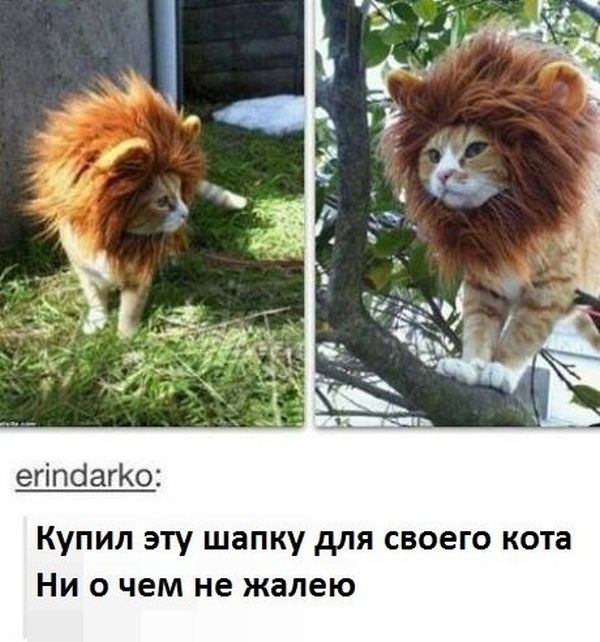 Прикольные картинки (84 фото)