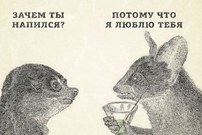 Прикольные картинки (84 фото)