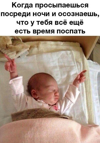 Прикольные картинки (84 фото)