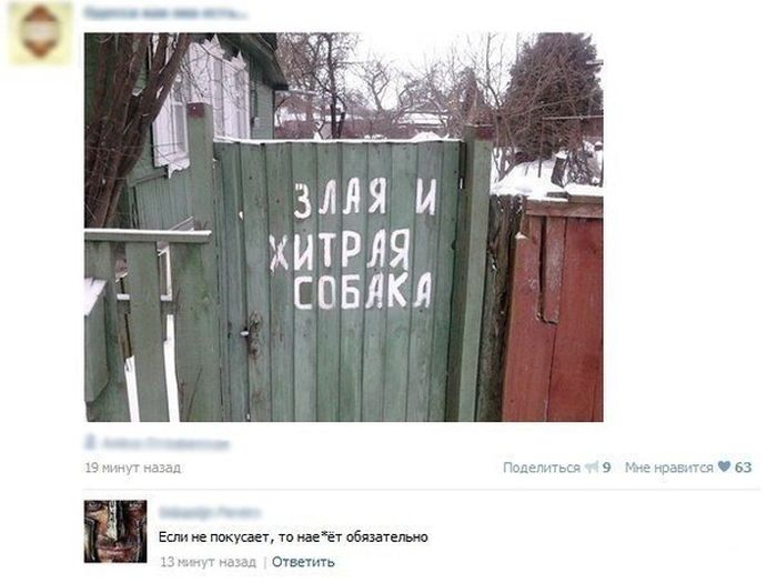 Забавные картинки