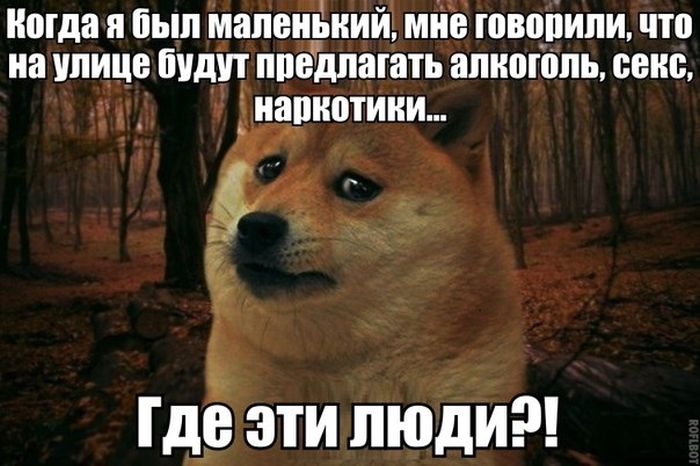 Забавные картинки