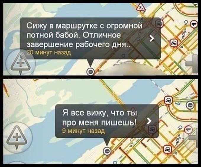 Забавные картинки