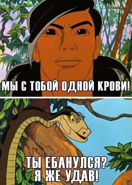 Забавные картинки