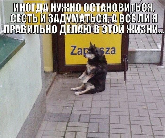 Забавные картинки