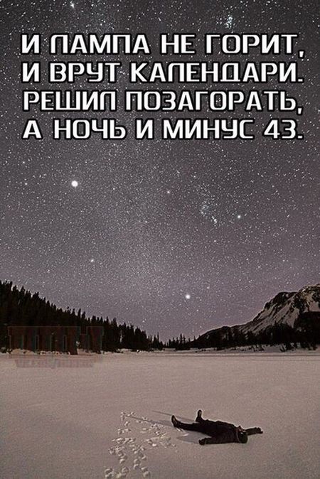 Прикольные картинки (76 фото)