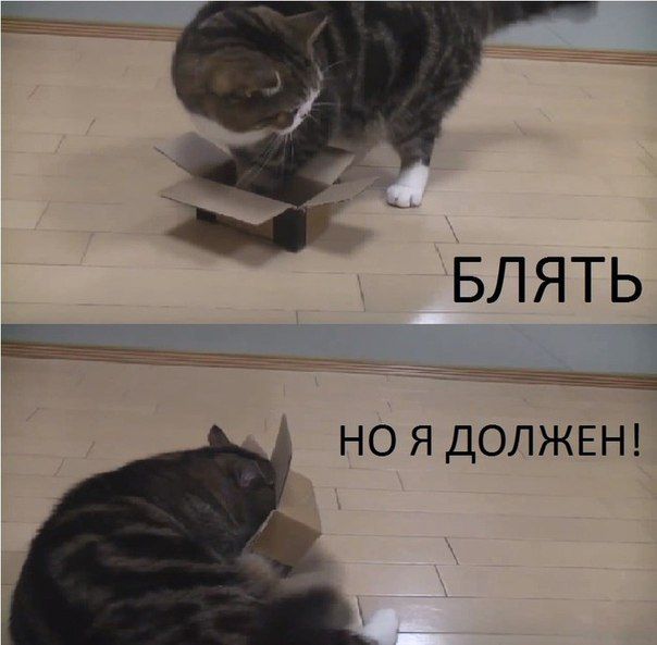 Прикольные картинки (76 фото)