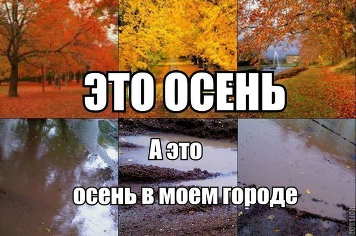Прикольные картинки (76 фото)