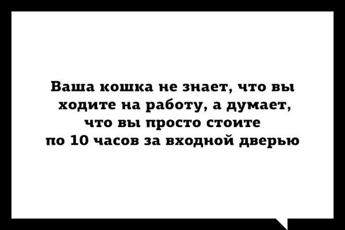 Прикольные картинки (76 фото)