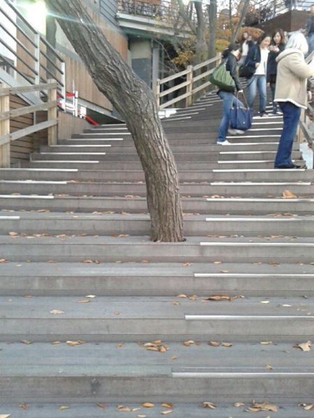 Прикольные картинки (76 фото)