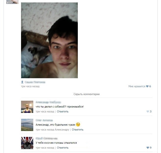 Забавные картинки