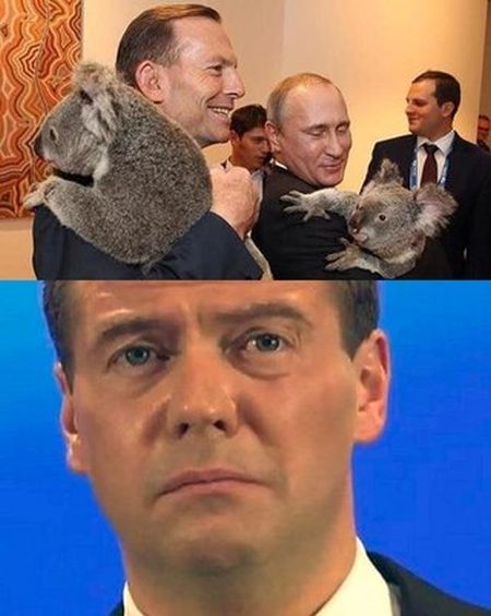 Забавные картинки