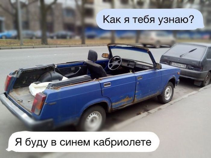 Забавные картинки