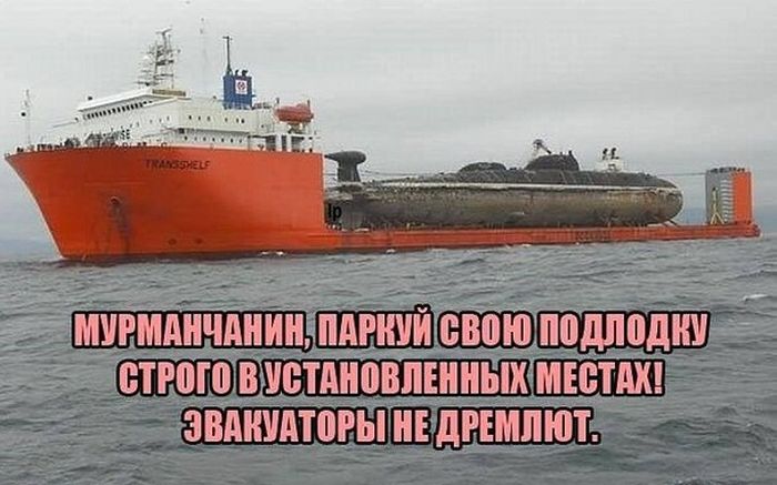 Забавные картинки