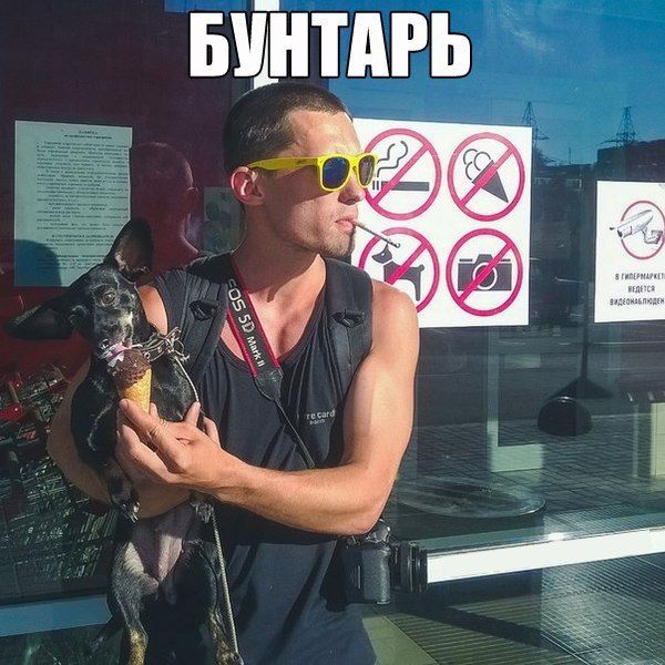 Забавные картинки