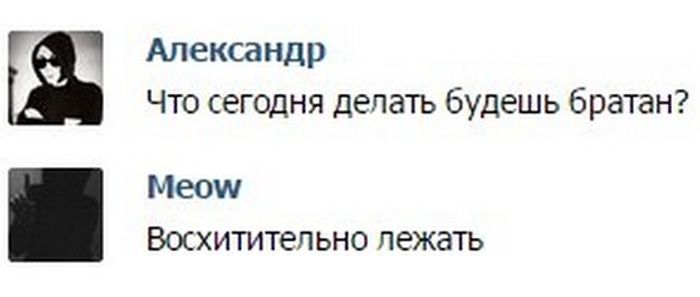 Забавные картинки